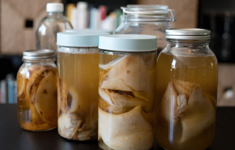 Sejarah dan Asal Usul Kombucha Dari Teh Fermentasi Zaman Dinasti ke Skincare Modern