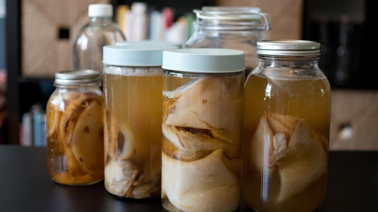 Sejarah dan Asal Usul Kombucha Dari Teh Fermentasi Zaman Dinasti ke Skincare Modern